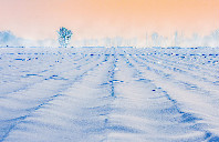 留学澳洲商科专业优势介绍