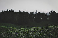 留学澳洲卧龙岗大学如何？（上）