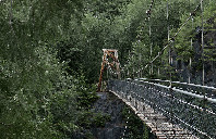 留学澳洲艺术专业院校推荐（下）