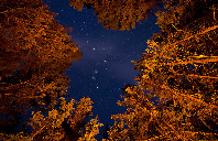 留学澳洲国立大学都有哪些专业及优势？（上）