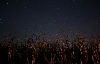 留学澳洲国立大学都有哪些专业及优势？（下）