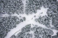 留学澳洲如何选课？