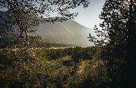 留学澳洲有哪些热门专业？（上）