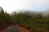 留学澳洲悉尼大学本科介绍
