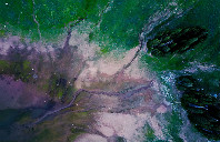 留学澳洲南十字星大学如何？（上）