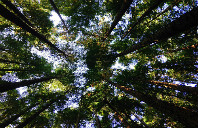 留学澳洲都有哪些优势和注意事项？（上）