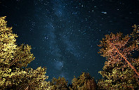 留学澳洲邦德大学怎么样？（上）