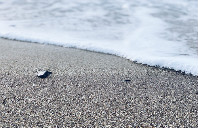 留学澳洲墨尔本大学预科申请条件介绍（下）