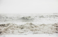 留学新西兰都有哪些好处？（下）