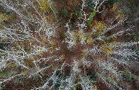 留学新西兰本科优势介绍（下）