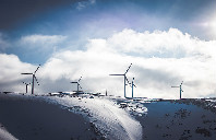 留学新西兰可以享受哪些福利？