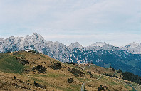 留学新西兰商科优势盘点