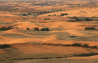 留学新西兰惠灵顿维多利亚大学如何?