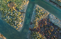 留学新西兰惠灵顿维多利亚大学如何？