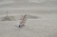 留学新西兰如何择校？（上）