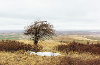 2021留学加拿大条件及费用介绍（下）