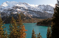 留学加拿大哪些地区好找工作？