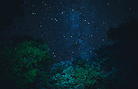 留学加拿大麦克马斯特大学申请条件（下）