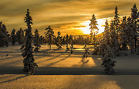 留学加拿大如何降低开销?(下)