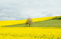 留学英国有哪些相关手续？