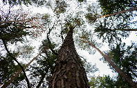 留学英国东安格利亚大学如何?(上)