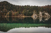 留学美国哪些专业最容易申请？