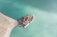 留学美国本科前可以参加哪些竞赛？