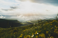 留学美国转学需要注意什么？（上）