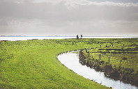 留学美国路德学院有什么好专业？