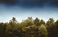 留学美国本科申请难度大不大？