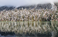 留学美国耶鲁大学本科费用介绍