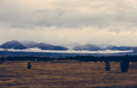 留学澳洲悉尼大学留学条件介绍