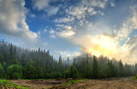 留学澳洲新南威尔士大学留学条件介绍(下)