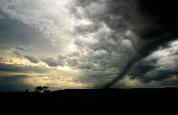 留学澳洲悉尼大学申请条件及材料(下)