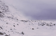 留学澳洲科延大学申请条件及费用（上）