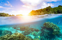 留学澳洲科延大学申请条件及费用（下）