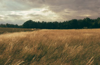 留学澳洲皇家墨尔本理工大学入学条件及奖学金介绍（下）