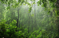 留学澳洲悉尼大学硕士条件介绍（上）