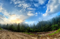 留学澳洲悉尼大学硕士条件介绍（下）
