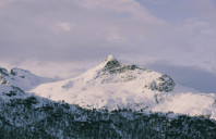 澳洲墨尔本大学商科硕士如何申请？