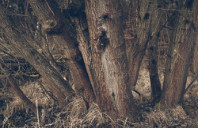 留学澳洲墨尔本大学硕士申请指南（上）