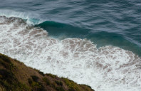 留学新西兰梅西大学研究生申请条件介绍