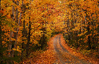 留学新西兰林肯大学研究生申请条件（下）