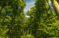 留学新西兰奥克兰理工大学申请条件（下）