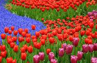 留学新西兰怀卡托大学热门专业介绍