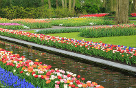 留学新西兰林肯大学优势专业介绍