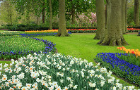 留学新西兰申请门槛介绍（下）