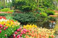 留学新西兰高考生攻略