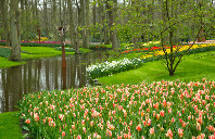 留学新西兰条件费用介绍