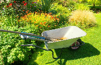 留学新西兰条件及材料介绍（下）